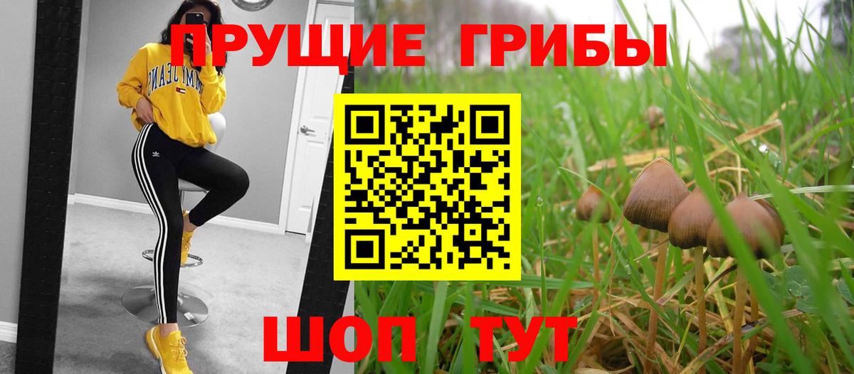 Псилоцибиновые грибы мицелий  Вход с VPN  продажа наркотиков  Тара 
